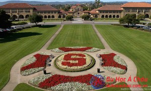 đại học Stanford, Stanford University, du học mỹ