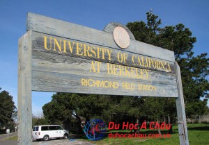 công nghệ thông tin đại học California Berkeley