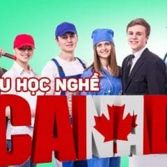 Du học nghề Canada 2022: cơ hội có học phí rẻ và định cư