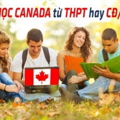 Nên du học Canada từ cấp 3 bậc THPT hay Cao đẳng / Đại học?