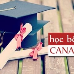 Kinh nghiệm xin học bổng du học Canada thành công