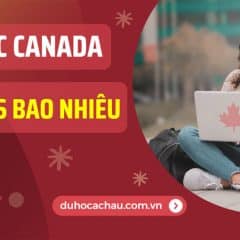 Du Học Canada Cần IELTS Bao Nhiêu » 5.5 Đi Được Không?