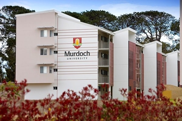 Đại học Murdoch