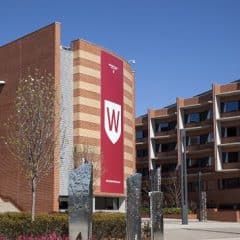 trường Western Sydney University